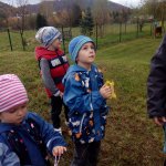 phoca_thumb_m_drak 15 Fotogalerie
